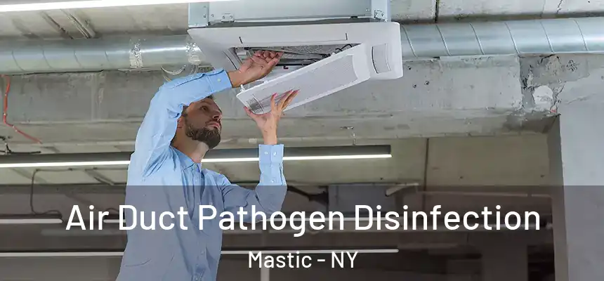  Air Duct Pathogen Disinfection Mastic - NY