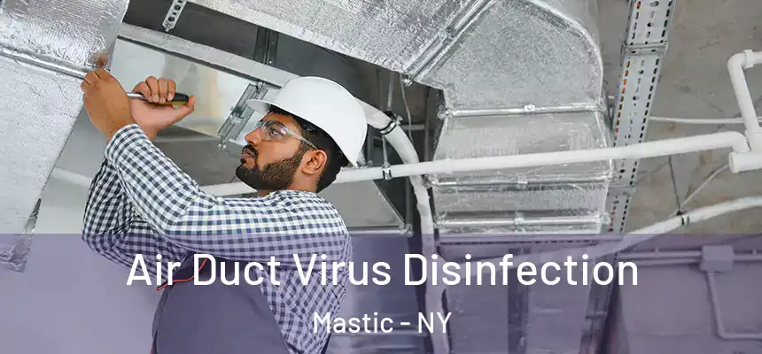  Air Duct Virus Disinfection Mastic - NY