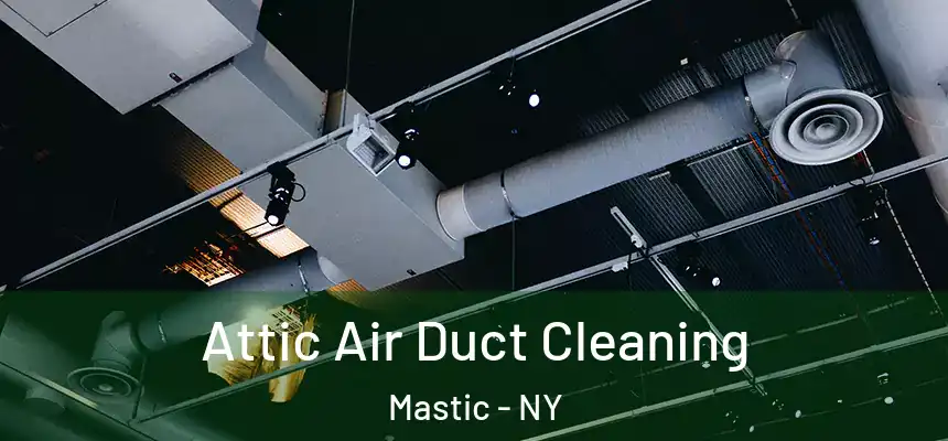  Attic Air Duct Cleaning Mastic - NY