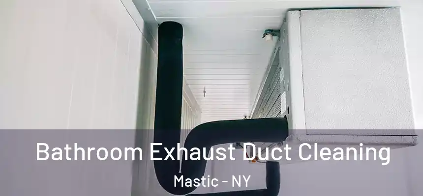 Bathroom Exhaust Duct Cleaning Mastic - NY