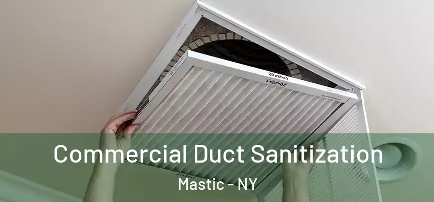 Commercial Duct Sanitization Mastic - NY