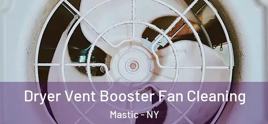  Dryer Vent Booster Fan Cleaning Mastic - NY