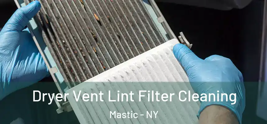  Dryer Vent Lint Filter Cleaning Mastic - NY