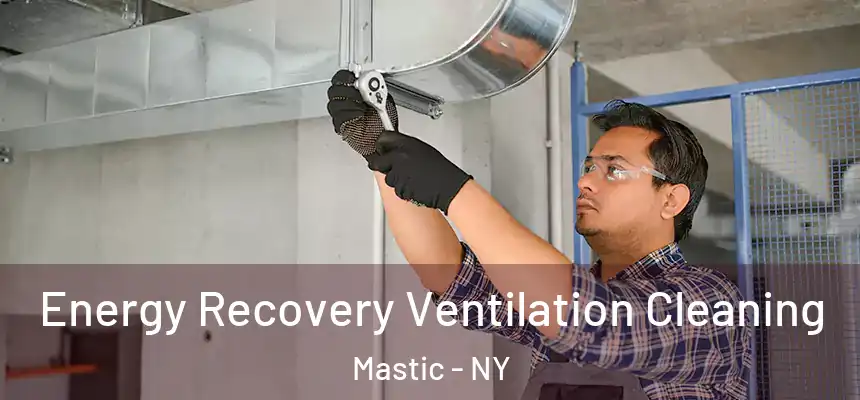 Energy Recovery Ventilation Cleaning Mastic - NY