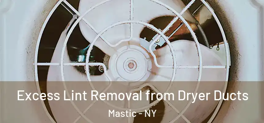 Excess Lint Removal from Dryer Ducts Mastic - NY