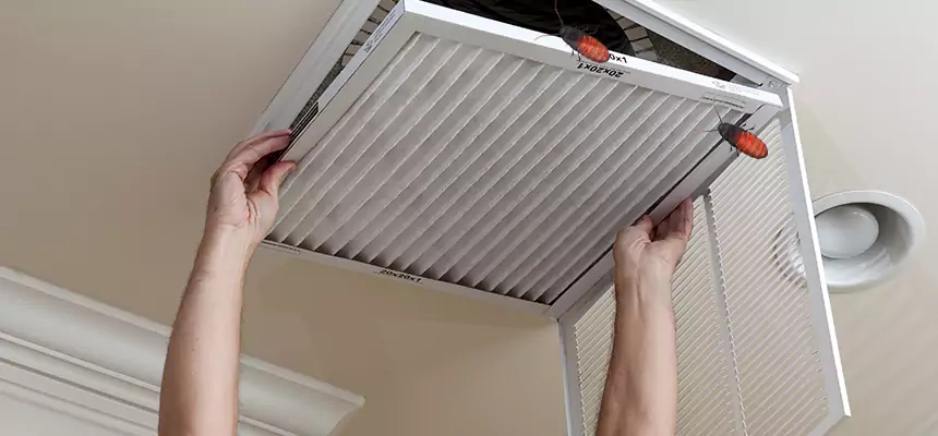 Preventive Cockroach-Proofing for Ducts in Mastic