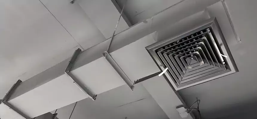 Our Rodent Droppings In Vents Services in Mastic, NY