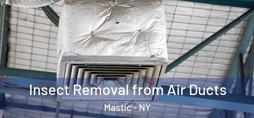 Insect Removal from Air Ducts Mastic - NY
