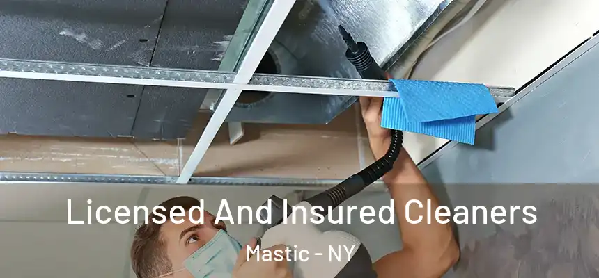  Licensed And Insured Cleaners Mastic - NY
