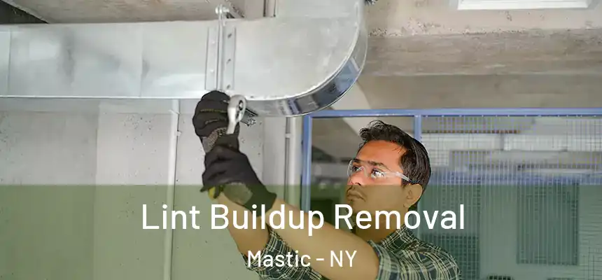  Lint Buildup Removal Mastic - NY