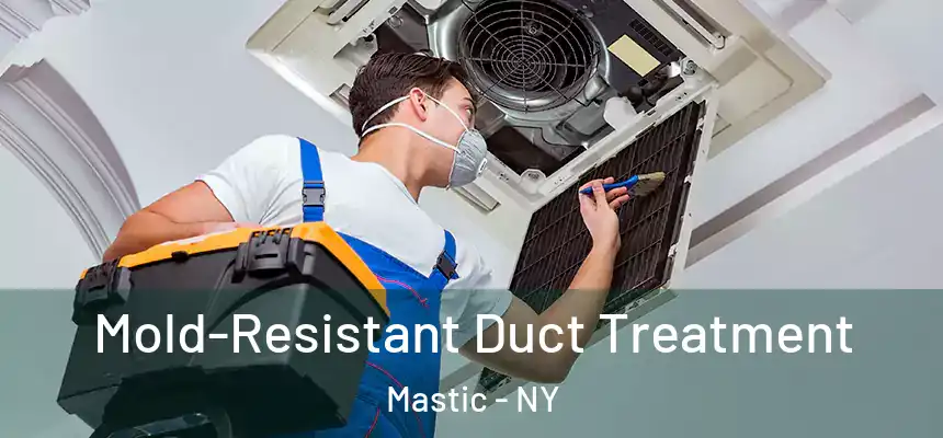  Mold-Resistant Duct Treatment Mastic - NY