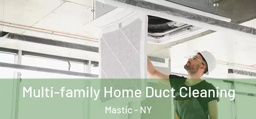  Multi-family Home Duct Cleaning Mastic - NY