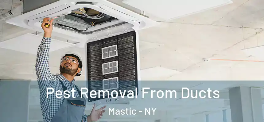  Pest Removal From Ducts Mastic - NY