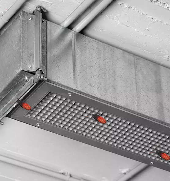 Affordable Insect Removal from Air Ducts in Mastic, NY