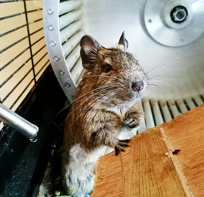 Why Homeowners & Businesses Trust Us Mastic, NY