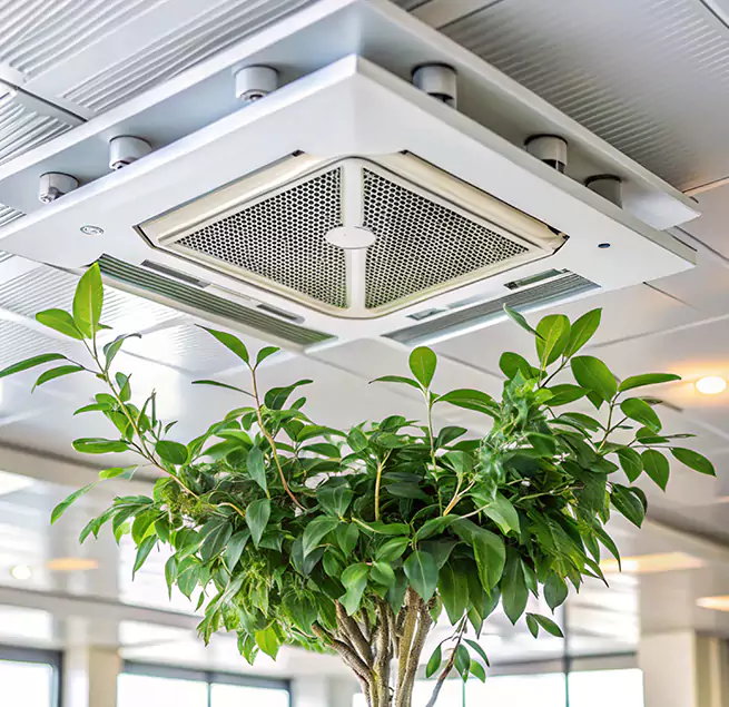 Why Homeowners & Businesses Trust Us in Mastic, NY?