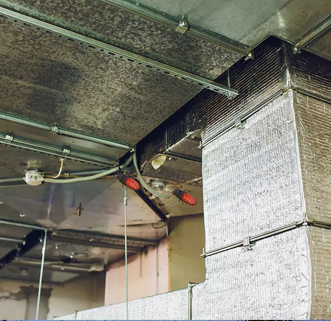 Why Homeowners & Businesses Trust Us Mastic, NY?