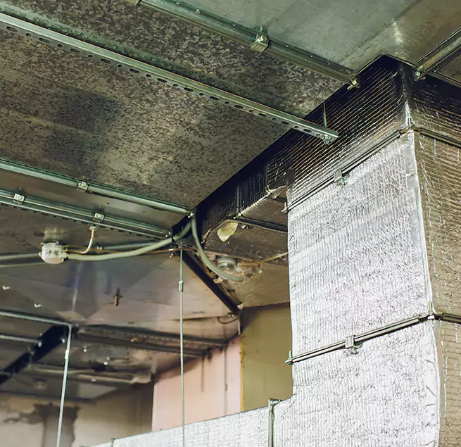 Why Homeowners & Businesses Trust Us in Mastic, NY?