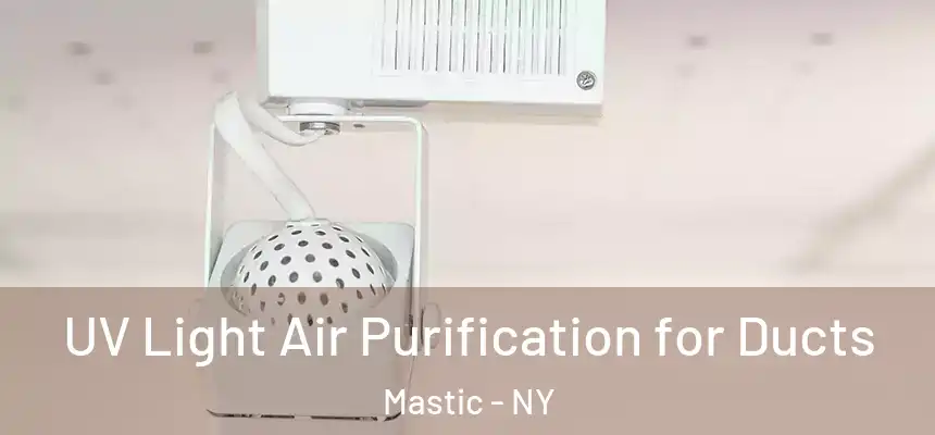 UV Light Air Purification for Ducts Mastic - NY